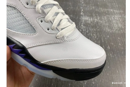 Jordan Dark Concord Retro 5 1013